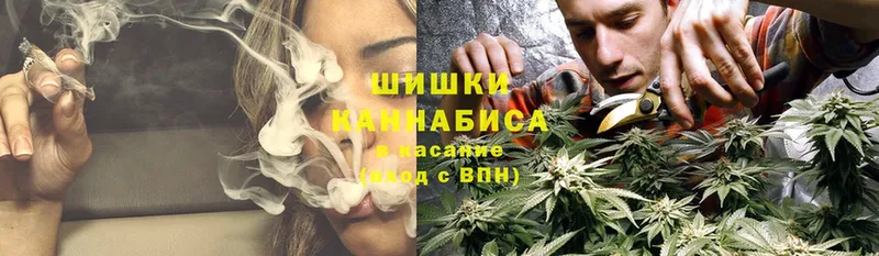 Каннабис OG Kush  Зубцов 